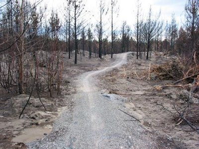 Bottle Lake Forest Fire Damage