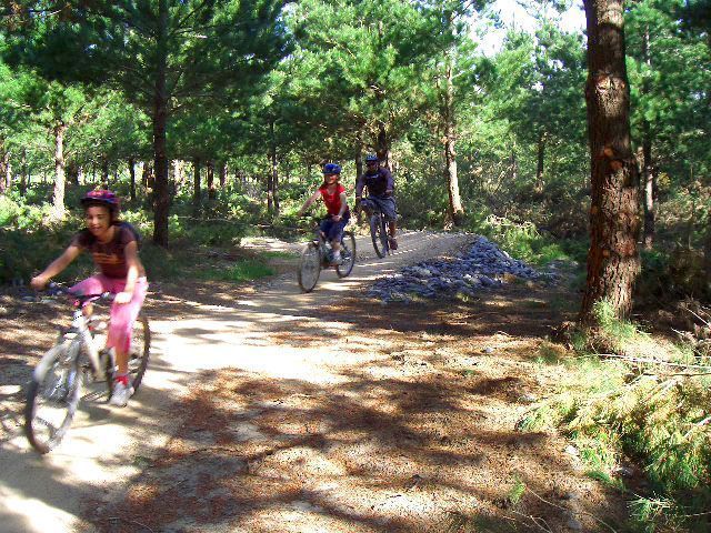 McLeans Island Track