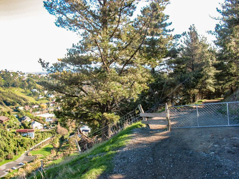 Rapaki Track / Mt Vernon Farm Track
