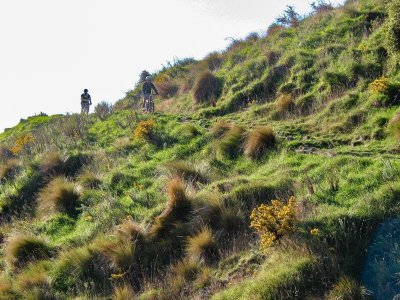 Bowenvale trail 2