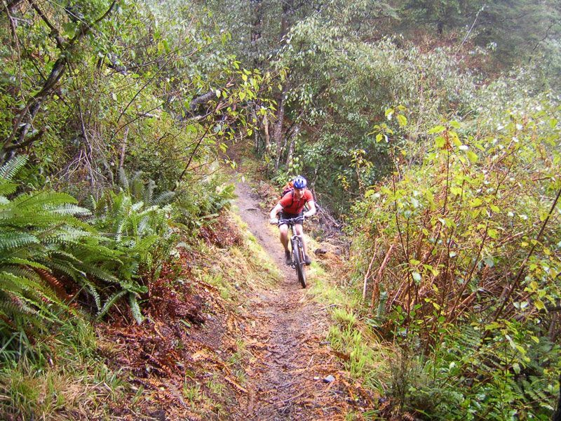 Whalfdale Single Track